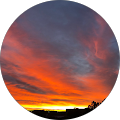 Chris Murphy Avatar